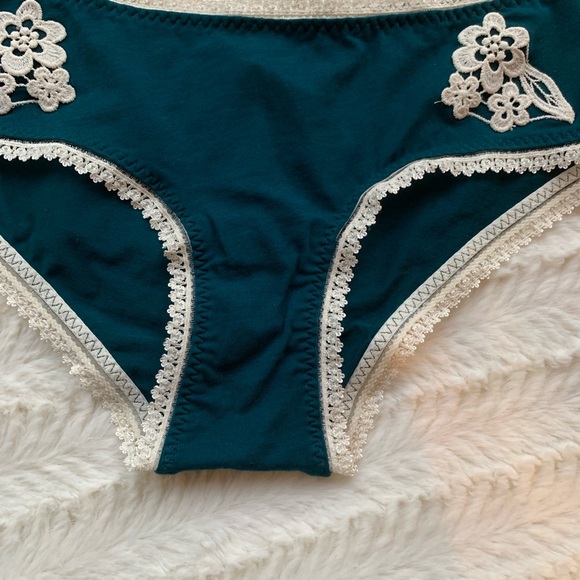 Free People Cheyenne Hipster Panty - Picture 7 of 12